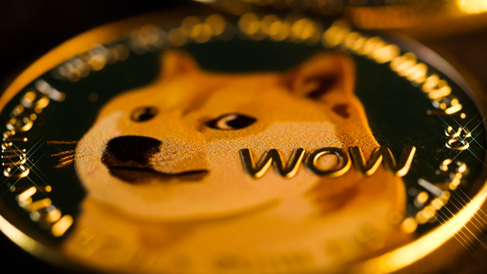 Dogecoin (DOGE) - криптовалюта мем яка стала цінністю